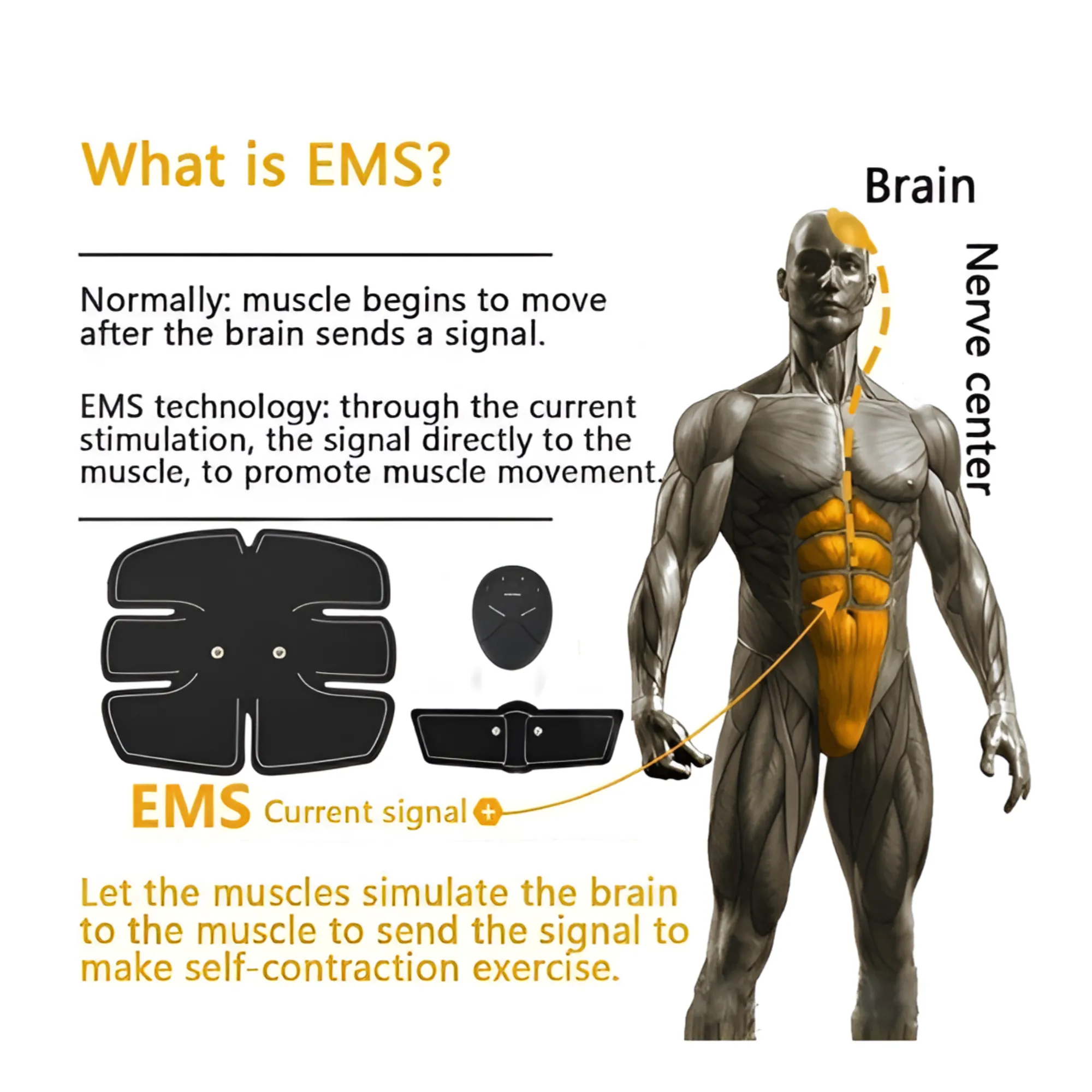 EMS Ultimate Muscle Stimulator Training Gear Set Fitness Equipment